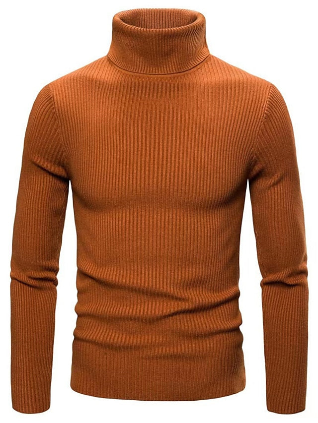 Herren Rollkragenpullover aus Wolle