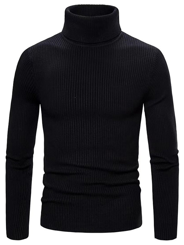 Herren Rollkragenpullover aus Wolle