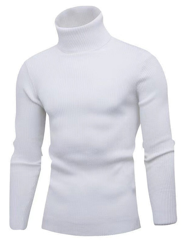 Herren Rollkragenpullover aus Wolle